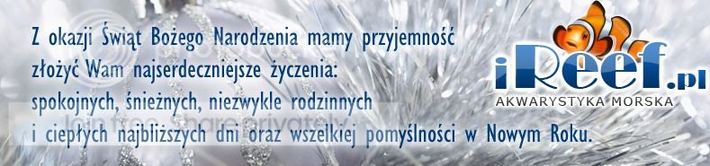 zyczenia_zps9d6c9e03.jpg