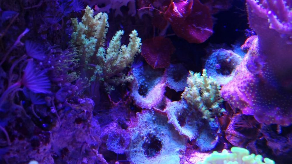 DSC07844_zps0636ccbd.jpg