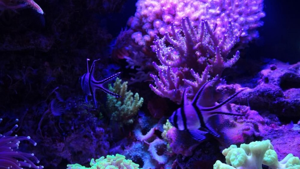 DSC07845_zps8d2984e3.jpg