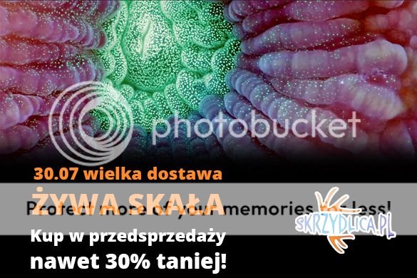 dostawa%2073_zpsw4zpxehg.jpg