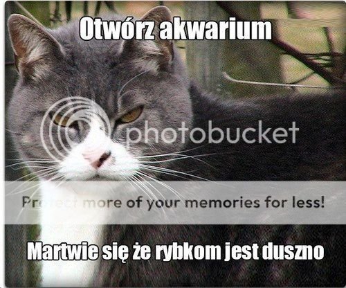 otwoacuterzakwarium_zps5dacf5e7.jpg
