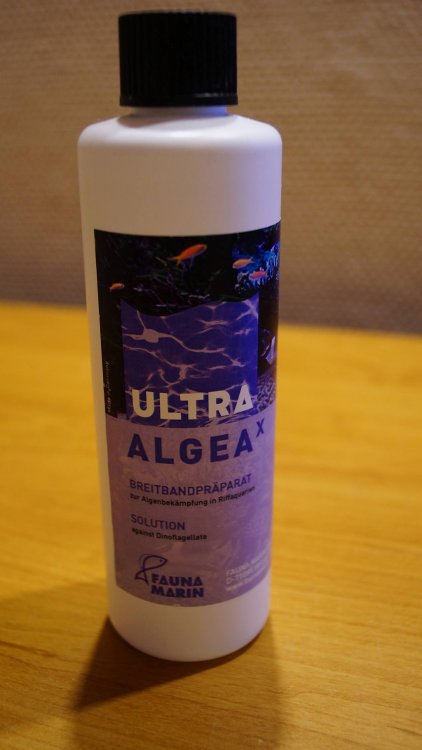 algea1.jpg