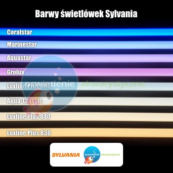 barwy_sylwania.jpg