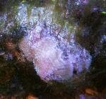 18033198_10211870403856935_2587698022033