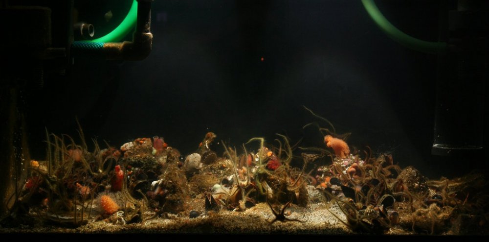 fts01.jpg