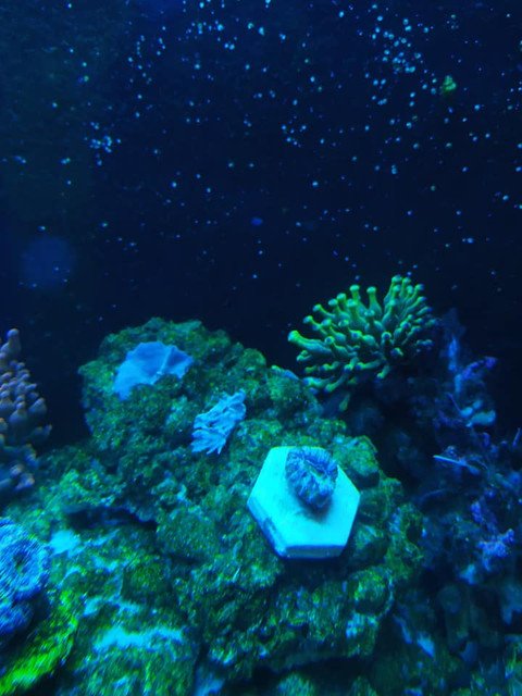 60068660-440235700068760-165663937077549