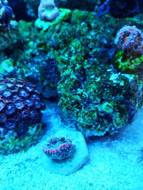 60249011-440235583402105-253140485612450