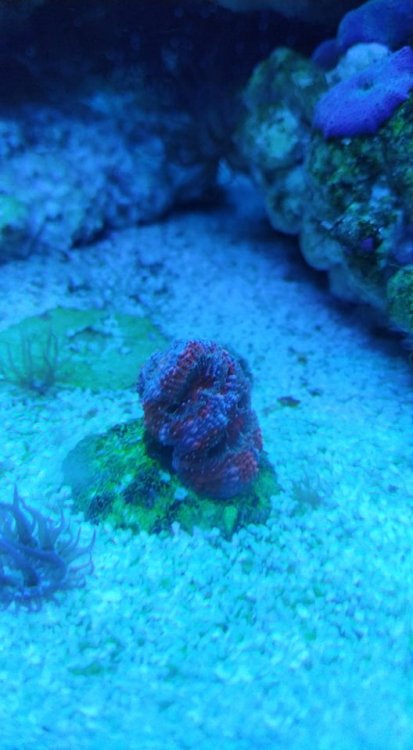 61249800-449734955789653-819322994199992