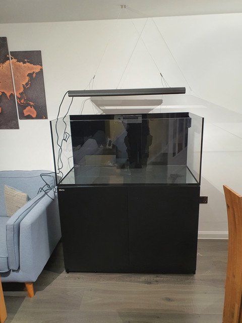 20200504-215100.jpg