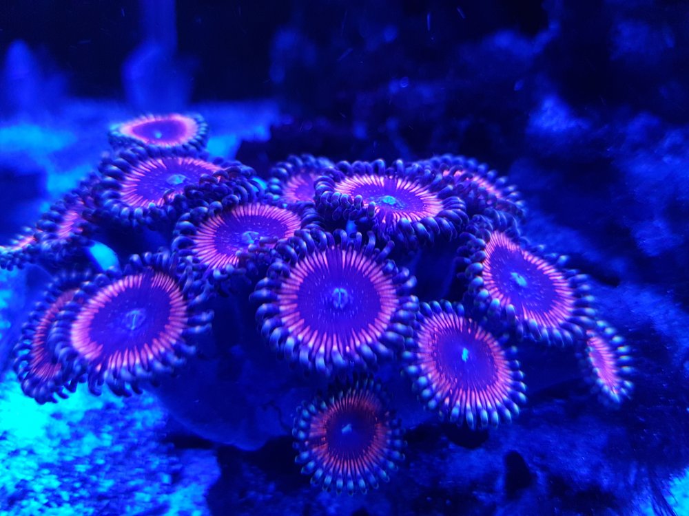 3QMr097.jpg&key=050f9e104079e9b947a937638ebc33a4f02f9644644c66c92d8154d222f6d2c2