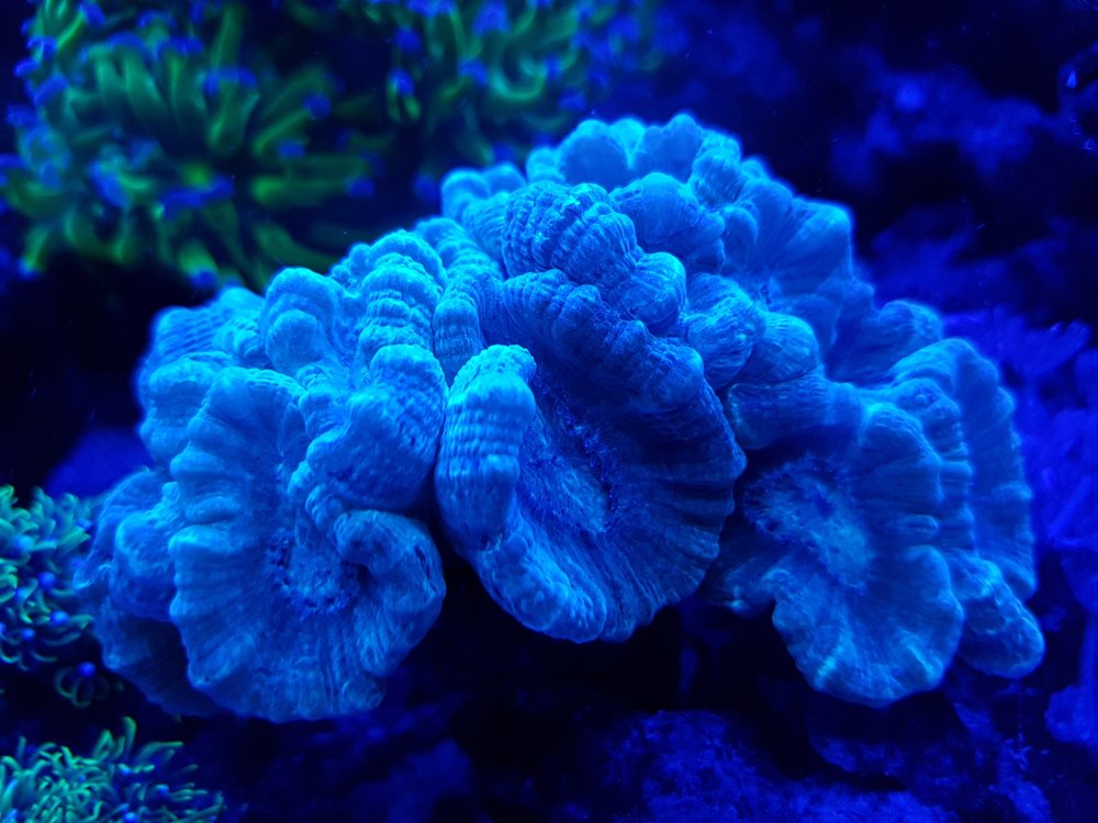 EWAfuQp.jpg&key=697a83b29d7d563de4b586ad346b8e304111f5d85b8a7f1c229da523153161f3