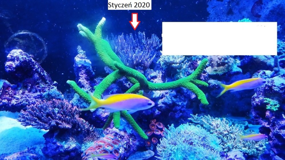 KJkZaC4.jpg