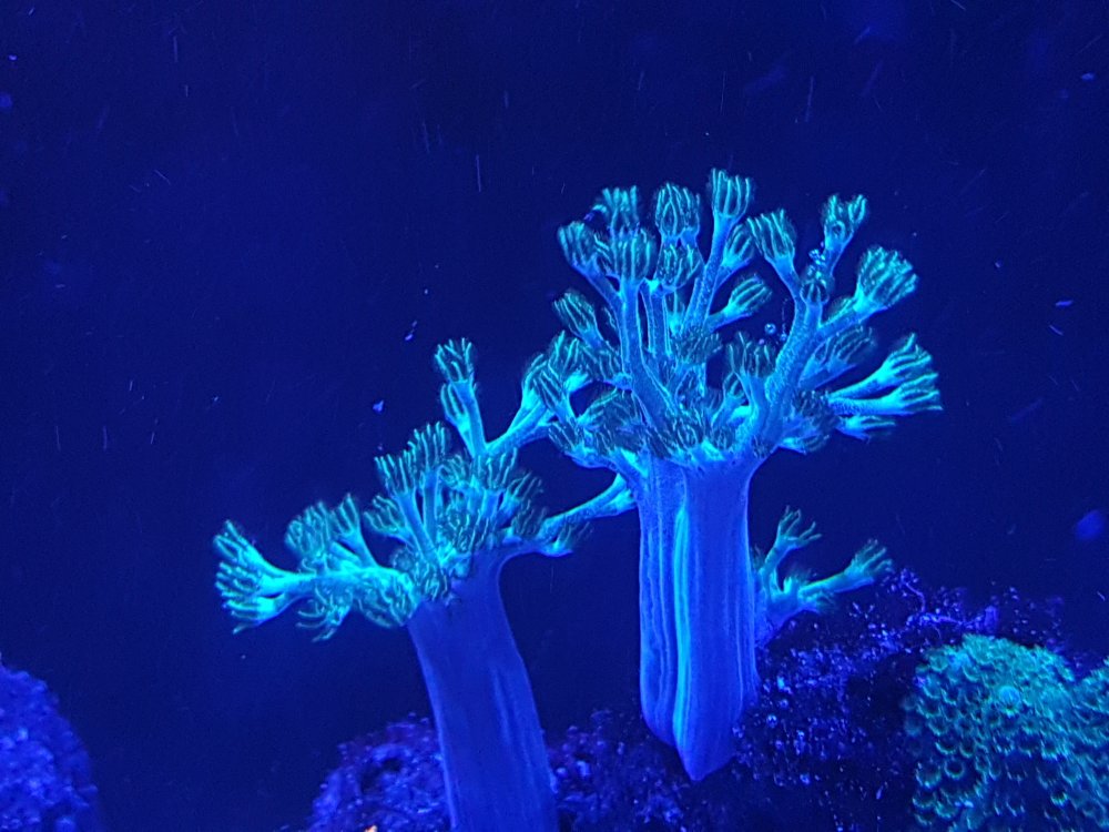 flLawsu.jpg&key=0184431ae8ba41a34ec6e3790f0ace75cb8b67c29bdb0833072481cbcd76f9aa