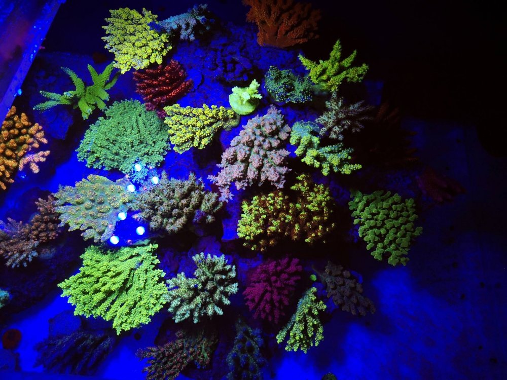 kq5Y9nb.jpg&key=f952c1eb7c0f5c02adbe3ad8