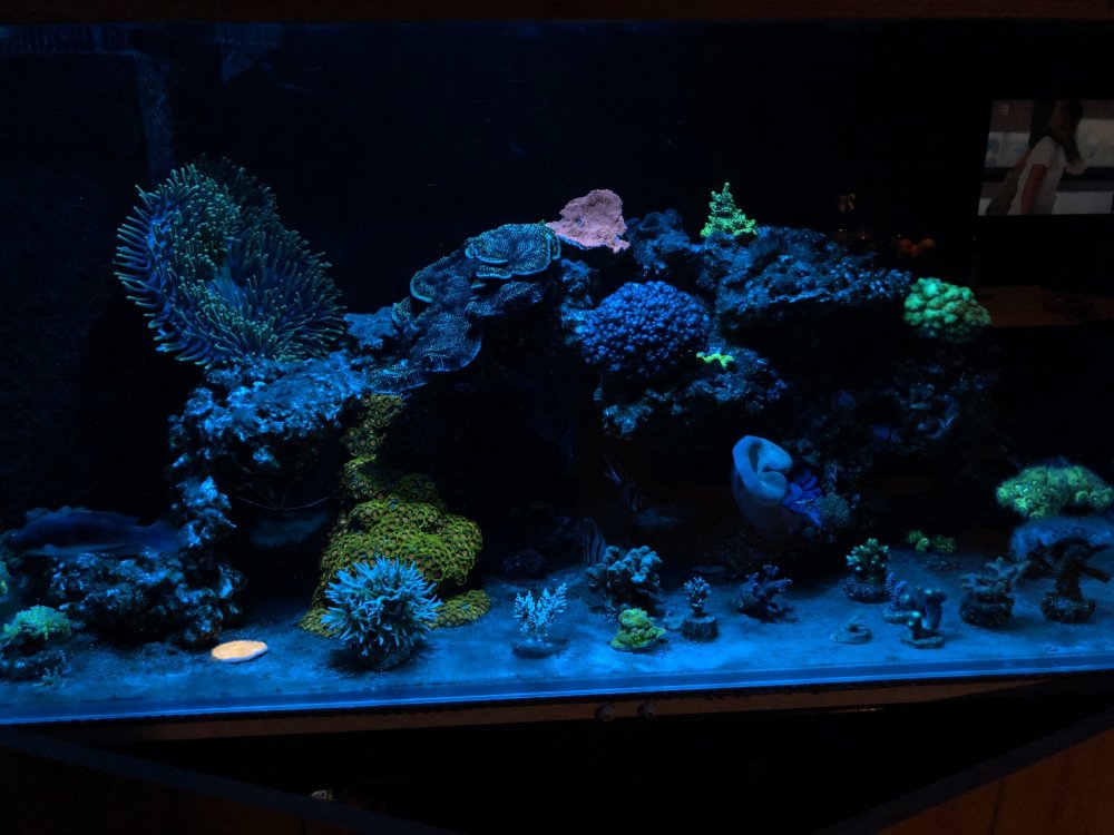 usWD9xo.jpg