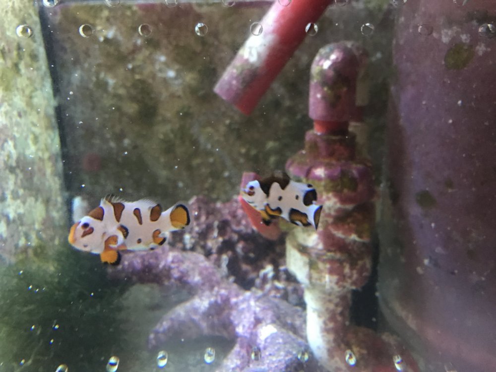 845-E2-F9-D-7-A6-F-47-A1-9-AF7-E7014-E21