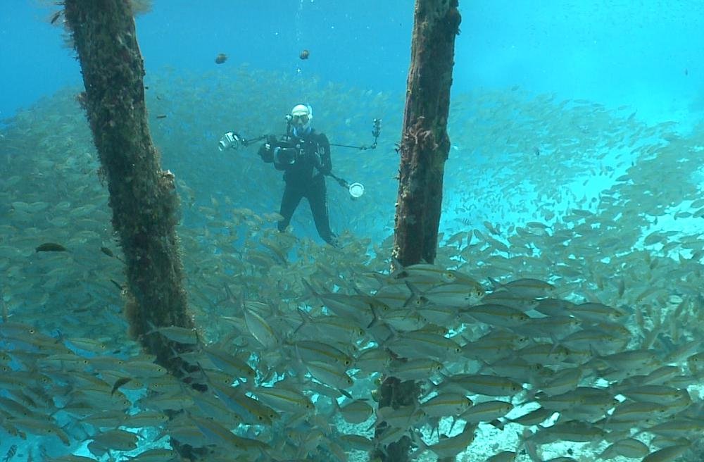 Premiera-Serie-W-End-Plus-Minus-Piec-Met