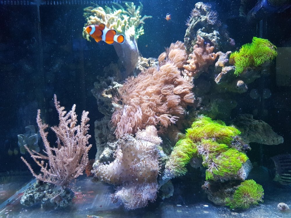 67641ede43b0d9f7d66aea60c12bf7f3.jpg&key=0fc09710518033c3689483663856849807164c7f2c74026bd52600a576d14dc6