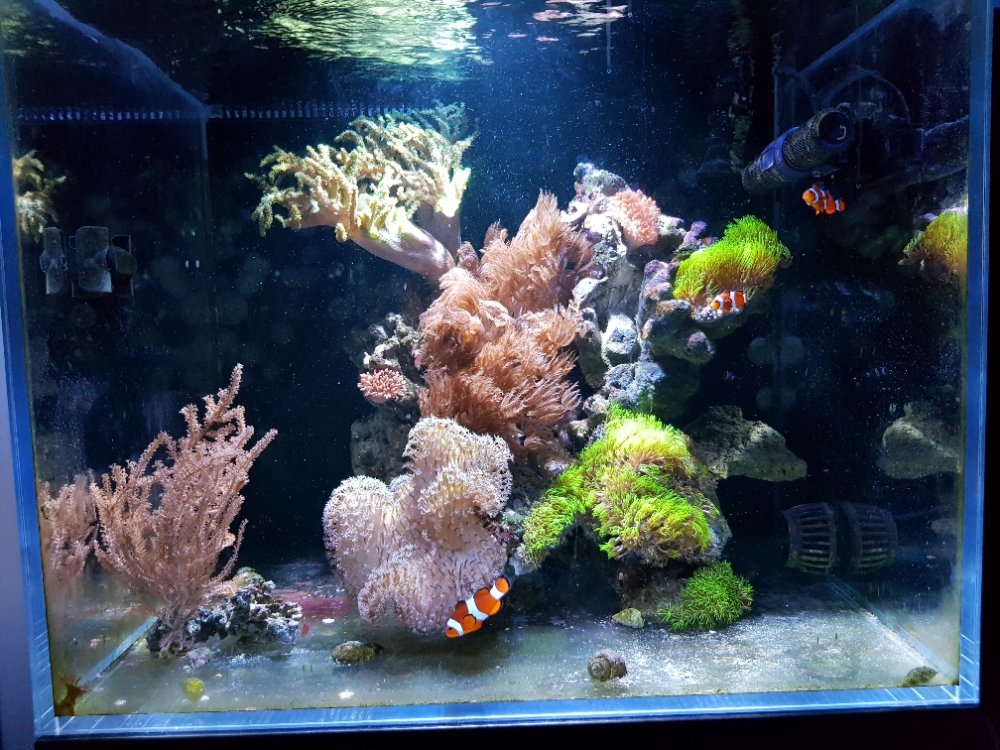 68fbb12cb11d187e4bf7a604f18098ff.jpg&key=2b764f99e0a50f9fe99d284da3c61e9d7e8669f9107499627ba014a2bb01deec