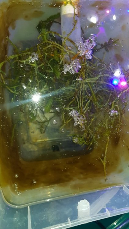 5a2bf1df0a1044f235fd9344818ec3ae.jpg&key=4f9f89b57b11210e74d5af6ff040c81425b9302c52825c6368fb50f375f240a0