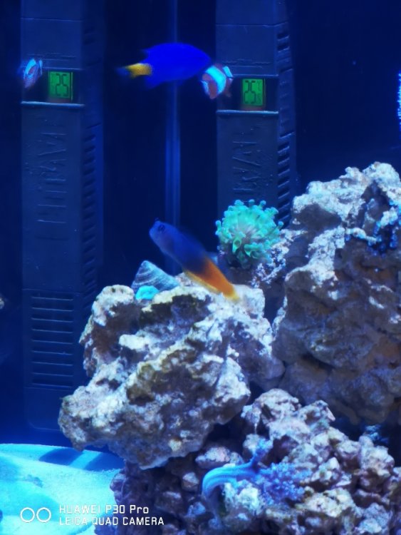 88ea677dd5c043c79238d50930a478a4.jpg&key=74f3e45de4046fac7fb710ea95864d73d99d4f9868c3179ff8d3b2d908e49c54