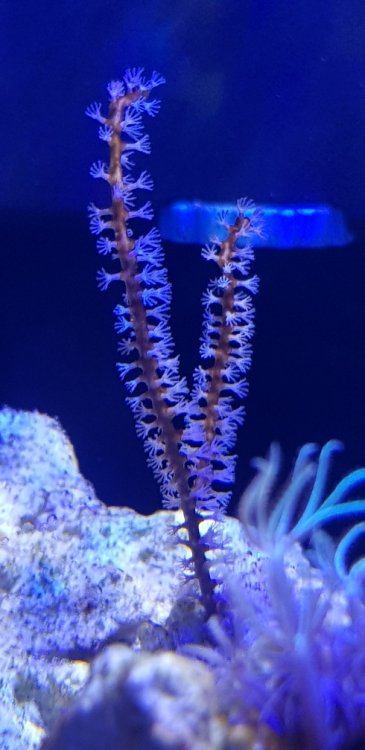 b7fa0b8aa5f29d11495d4a7c1aea9897.jpg&key=c8e2c504ccbafcf5ddd8d50edf0763fdfe25927fa74c143df85b7100b48452e6