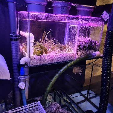 bd142a413e131f576bfb0f1762912699.jpg&key=5b10205a23f5df9b60c982e241c735004e5bbaa533cac3722e221e6bade25510