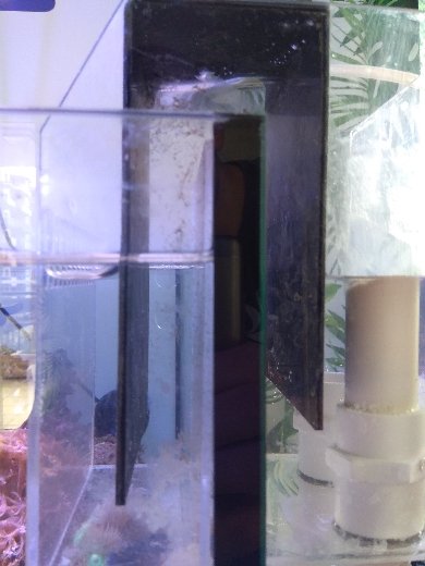 ad445d4a9999ab6e9c63d9b5f003aac4.jpg&key=1b4b22e93c8c48202a84a3c96a0d1df975115b7506ddf117a82ed0e2f4e3c26a