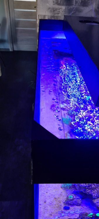 5f1c73113831f1a2a05465e40a07a818.jpg&key=7151073596ed4007844538947b6042e2daa30935f425eed274c92f3c01fe70f4