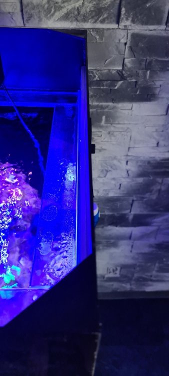 980e2a66ef92a5db85145e640e9153d2.jpg&key=6270e5f0df08350c8ef7858b4c83150aa9988b0bd09132aa371a712af3dfe3f9