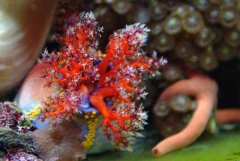 Mój zbiornik part.1