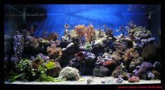 270-300 litrow  wrzesien 2005.jpg