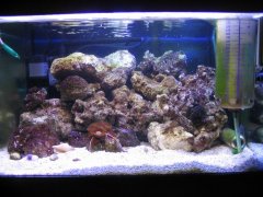 1144-akwarium 4 dzien.jpg