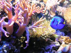 428-rampe i aqwa 097.jpg