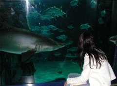 1222-london reef.jpg