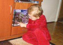 1144-weronika i krewetka.jpg