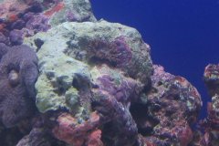 1144-ukwial czy co.jpg