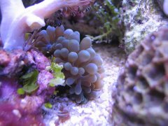 1144-ukwial z pompy.jpg