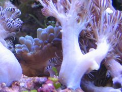 1144-ukwial po 6h.jpg