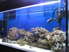 1144-144l z piaskiem prawa.jpg