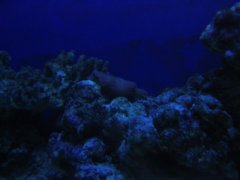 1144-nocne oswietlenie 2.jpg