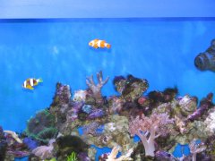 1133-rodzina 050.jpg