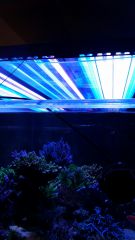 20151120 115016 resized