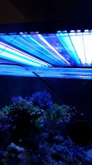 20151120 115007 resized