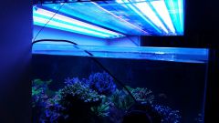 20151120 115041 resized