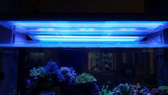 20151120 115305 resized