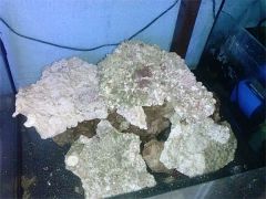 skala1
