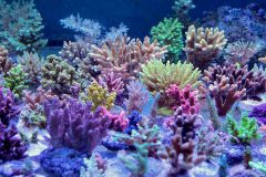 11150862 993808497297626 4160801474536179772 N