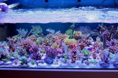 22716 993808143964328 2304223203467175900 N