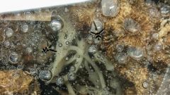 Rsz Psx 20141207 145951